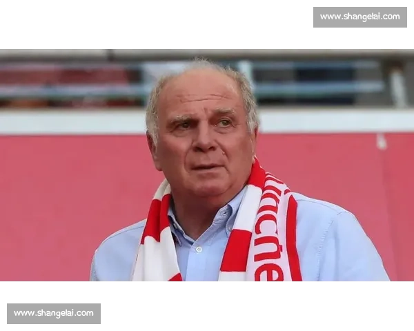 马特乌斯反击赫内斯：2000 万欧年薪指控不实，格纳布里磁卡薪资另有其人