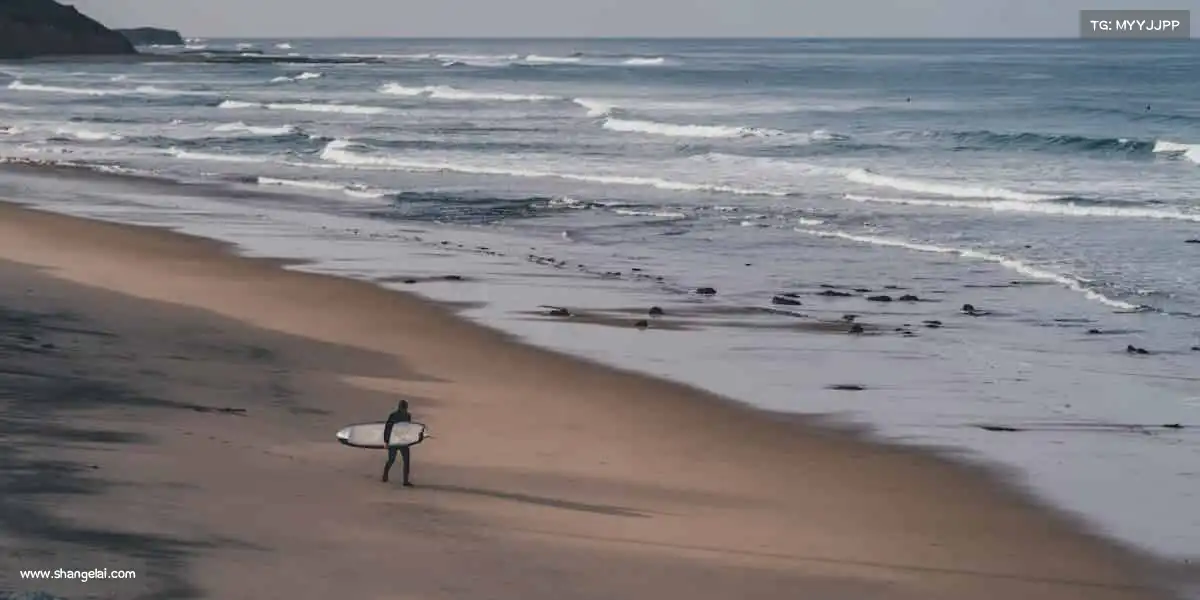 我们的品牌价值